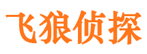 宁国婚外情调查取证